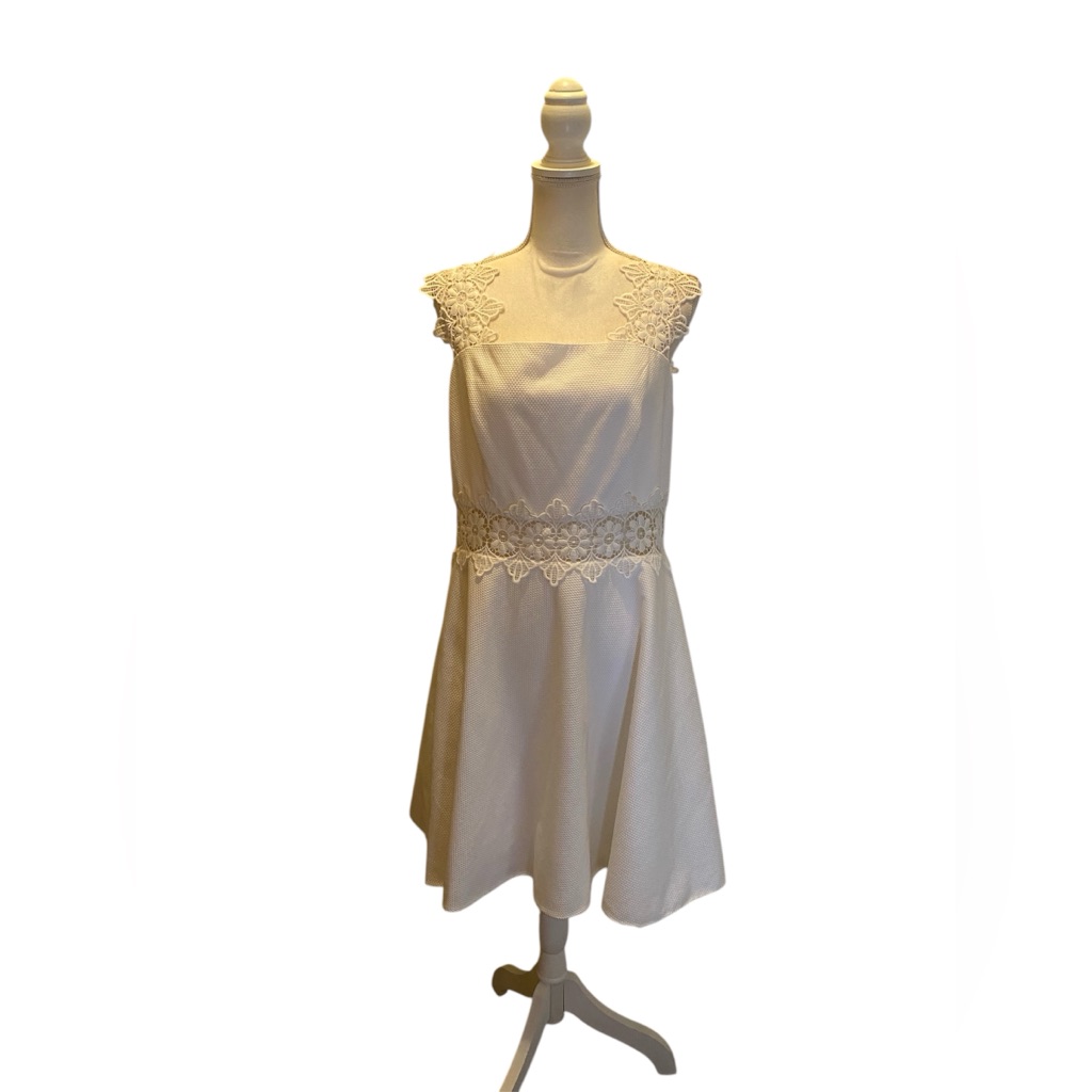 Ted Baker London Monaa Lace Detail A-Line Dress